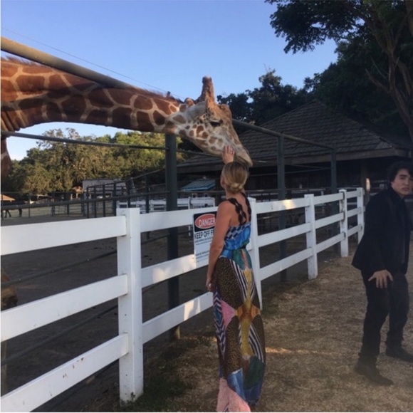 Beautiful Alexis silk dress - Picture 5 of 6